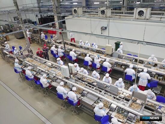 Калининградская область увеличила выпуск рыбных консервов и пресервов Калининградская область увеличила выпуск рыбных консервов и пресервов