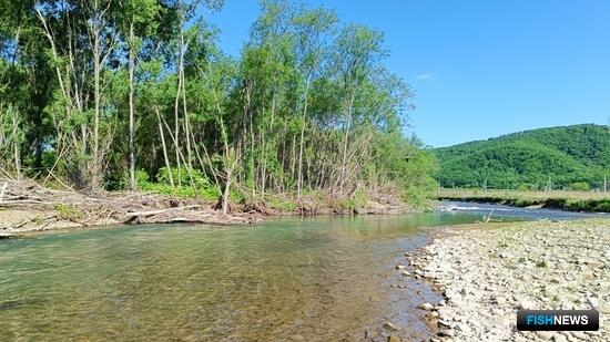 Заповедным зонам подготовили порядок обоснования Заповедным зонам подготовили порядок обоснования