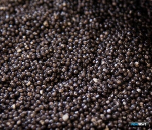 Дело о «краснокнижных» деликатесах заслушают в Хабаровском крае Дело о «краснокнижных» деликатесах заслушают в Хабаровском крае