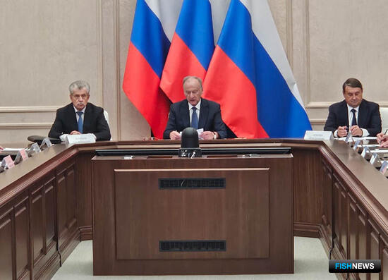 Морская коллегия начала работу Морская коллегия начала работу