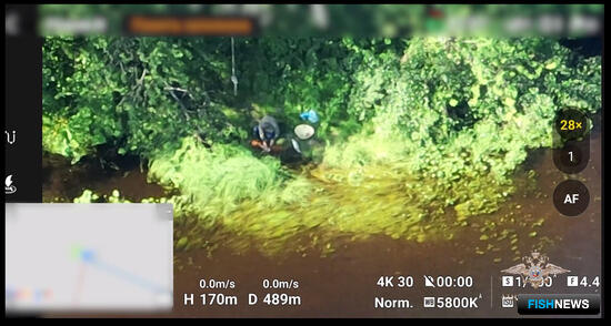 Четверых мурманчан взяли &laquo;на семге&raquo;