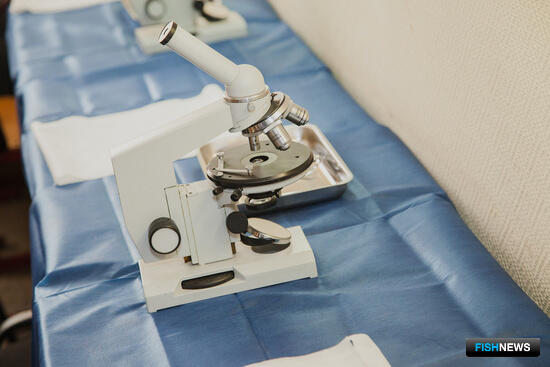 &laquo;Тихоокеанский плавучий университет&raquo; ведет научный поиск в Охотоморье