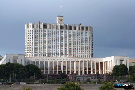 Торги в рыбной отрасли будут проходить по новым правилам Торги в рыбной отрасли будут проходить по новым правилам