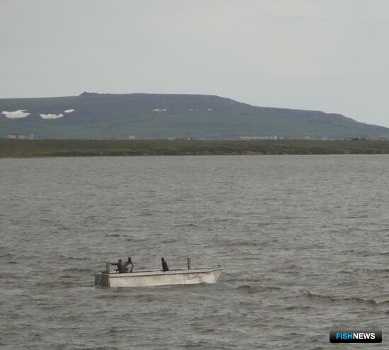 Рыболовам Чукотки предлагают компенсации Рыболовам Чукотки предлагают компенсации