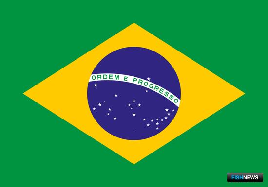 Больше предприятий РФ сможет поставлять рыбу в Бразилию Больше предприятий РФ сможет поставлять рыбу в Бразилию