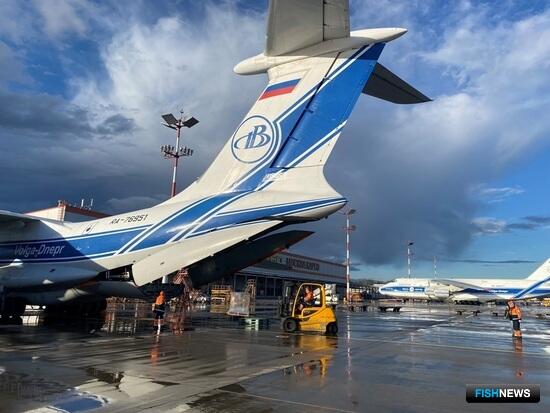 О &laquo;рыбном авиамосте&raquo; расскажут на выставке в Питере