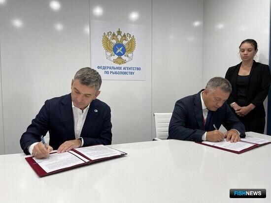 Ученые помогут Иркутской области беречь рыбу Байкала Ученые помогут Иркутской области беречь рыбу Байкала