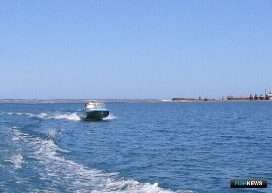 Планы поддержки морзверобоев Чукотки озвучили на ВЭФ Планы поддержки морзверобоев Чукотки озвучили на ВЭФ