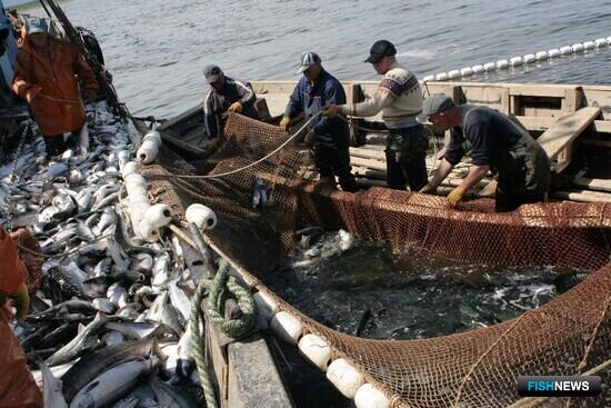 Путина не вышла на показатели прошлых лет Путина не вышла на показатели прошлых лет
