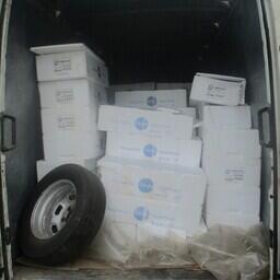 На Смоленщине «приняли» контрабандную форель На Смоленщине «приняли» контрабандную форель