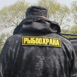 Госдума рассчитывает вернуться к законопроекту о постоянных рейдах в ноябре Госдума рассчитывает вернуться к законопроекту о постоянных рейдах в ноябре