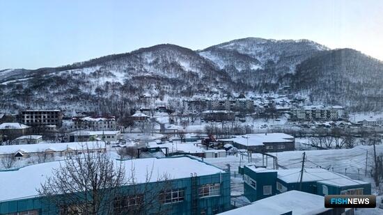 На Камчатке модернизируют социальный «рыбный» проект На Камчатке модернизируют социальный «рыбный» проект