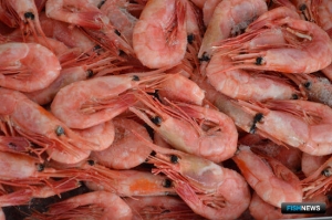 Креветке и трубачам определили пользователей Креветке и трубачам определили пользователей