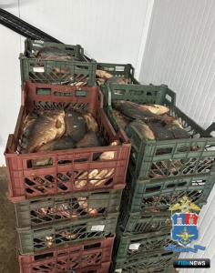 На Дону рыбный груз без маркировки не доехал до прилавков На Дону рыбный груз без маркировки не доехал до прилавков
