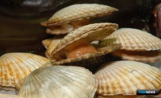 Механизм агрострахования распространили на морепродукты