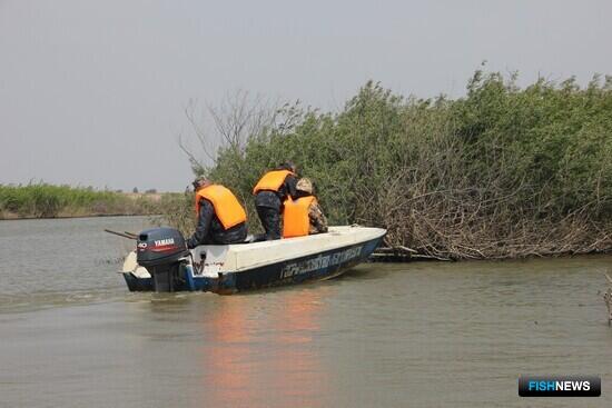 Режим постоянного рейда собираются регламентировать для рыбоохраны Режим постоянного рейда собираются регламентировать для рыбоохраны
