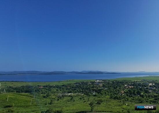 Новый мощный порт планируют построить на юге Приморье Новый мощный порт планируют построить на юге Приморье