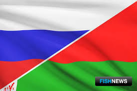 Россия и Белоруссия договорились о дальнейшем сотрудничестве в рыбной отрасли Россия и Белоруссия договорились о дальнейшем сотрудничестве в рыбной отрасли