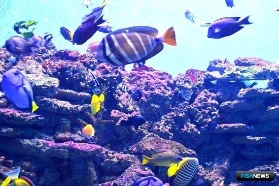 Затейливую схему вывода продукции в оборот выявил Россельхознадзор