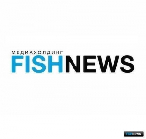 Что сильнее всего давило на бизнес в этом году, рассказали читатели Fishnews Что сильнее всего давило на бизнес в этом году, рассказали читатели Fishnews