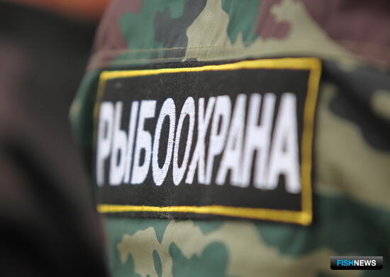 Конфликт в рыбоохране Свердловской области дошел до суда Конфликт в рыбоохране Свердловской области дошел до суда