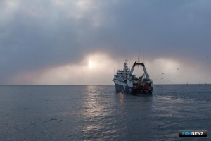 Доступ к рыбным ресурсам предоставляют на новых условиях Доступ к рыбным ресурсам предоставляют на новых условиях