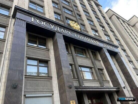 Госдума вернется к работе над &laquo;рыбными&raquo; законопроектами
