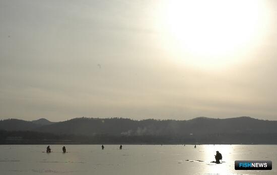 В прибрежье Владивостока выход на лед закрыли на всю зиму В прибрежье Владивостока выход на лед закрыли на всю зиму